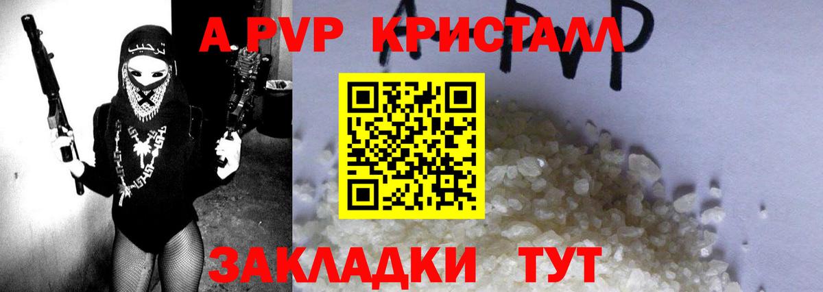 APVP СК КРИС Гай